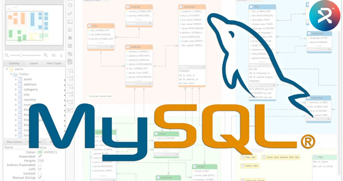 Introduction to MySQL cs104